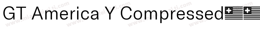 GT America Y Compressed字体转换